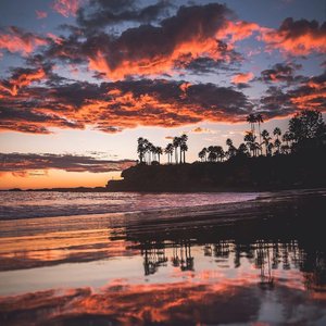 《漂う花びら》