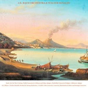 Concerto for Cello and Strings in C Minor, No. 1, RV 401: II. Adagio (2026 Remaster)