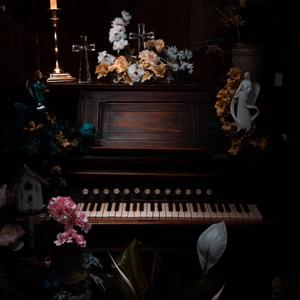 Ephemeral扑火飞蛾