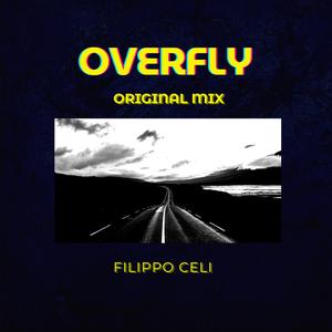 OVERFLY