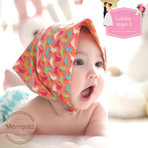 베토벤 - 환희의 송가 (Ode to Joy)