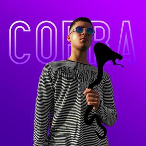 Cobra Remix (feat. Princeton) (Remix)