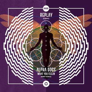 What You Feelin (Animist Deep Mix)