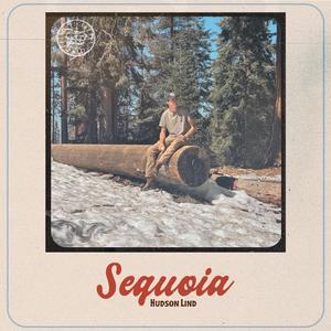 Sequoia