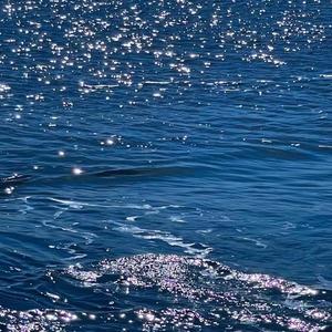 只剩下我一个人