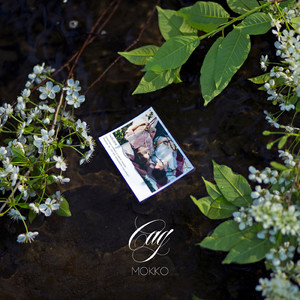 Любимая вами