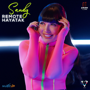 Remote Hayatak