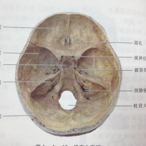 格式转换_哈哈