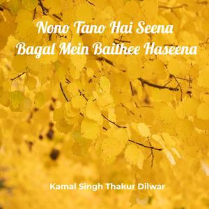 Nono Tano Hai Seena Bagal Mein Baithee Haseena