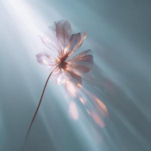 モノクロの世界で