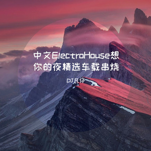 关喆-中文ElectroHouse想你的夜精选车载串烧(DJ版)