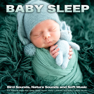 Newborn Sleep Aid with Bird Sounds