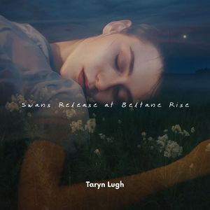 Light Between Hooves