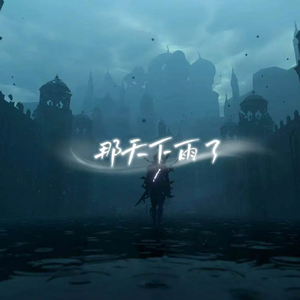 那天下雨了