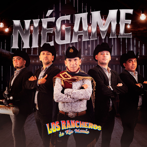 Niégame