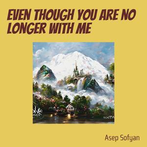 Fall in Love with Him Because