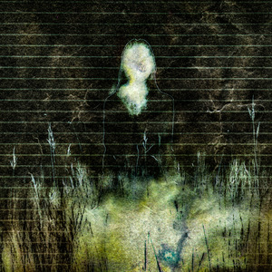 Быть полезным