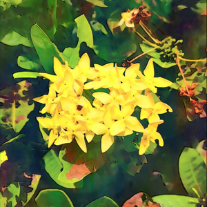 After The Rain From Midnight