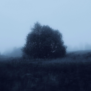 Sleeping Tides