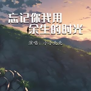 忘记你我用余生的时光