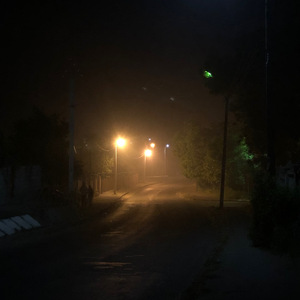 Почему убийцы не любят цветы?