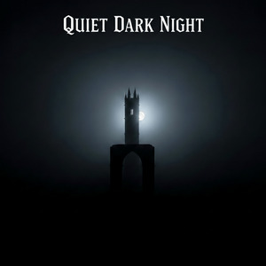 Quiet Dark Night