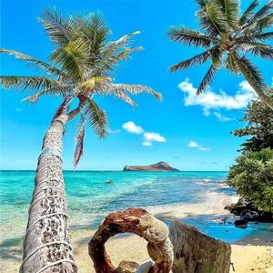 花朵 花朵 绽放吧