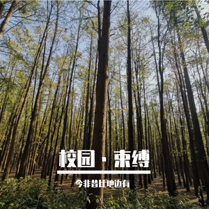 无人胜利，无人生还