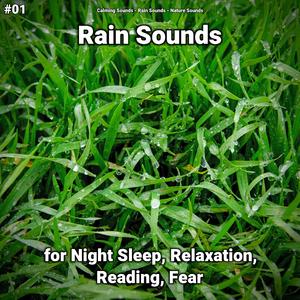 Rain Sound for Sleep