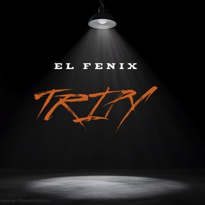 Tripy