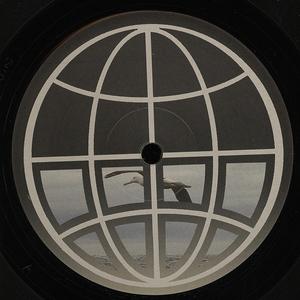 Albatross (Anthony Shakir Remix)