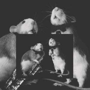 MaiHop (feat. NadaMisma)