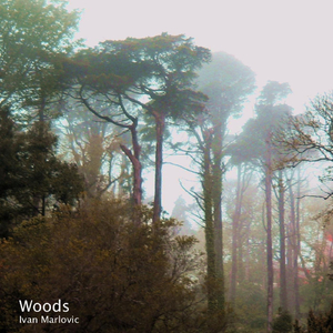 Woods