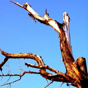 Old Selves Lie in Whispers