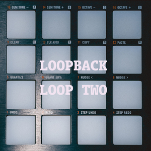 LOOP Level