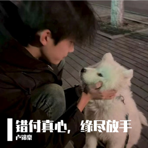 错付真心，缘尽放手