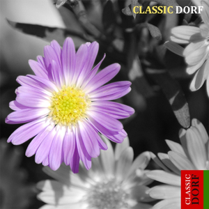 Albeniz: Suite Espanola Op.47, No.1 Granada