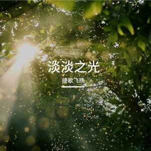 淡淡之光
