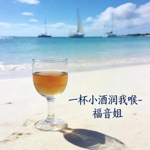 一杯小酒润我喉 (DJ涵哈版)