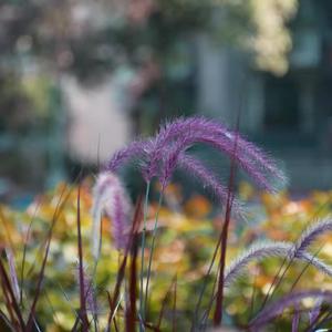 MY LIFE(Prod.byNO_BORDER)