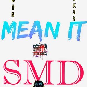Mean it (feat. Blu2sk3y)