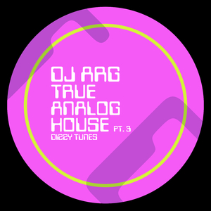 True Analog House 047