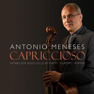 12 Caprices, Op. 25: No. 7 in C Major - Maestoso