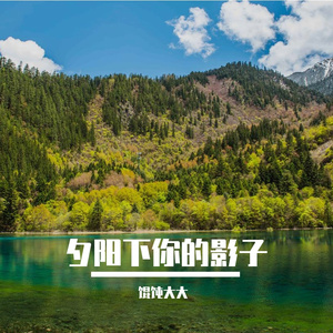夕阳下你的影子