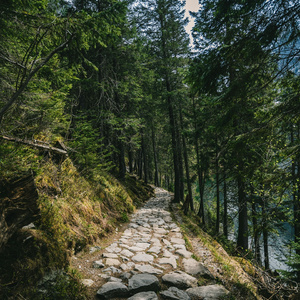 或许有遗憾（安静舒缓钢琴曲）