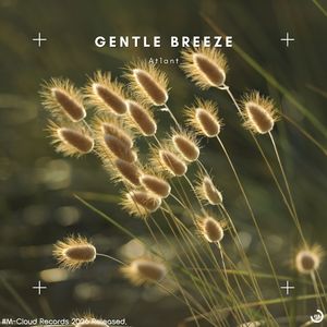 Gentle Breeze