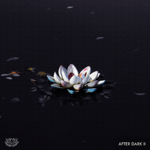 Cable Kid (Original Mix)