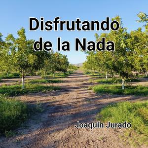 Disfrutando de la Nada