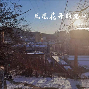 凤凰花开的路口