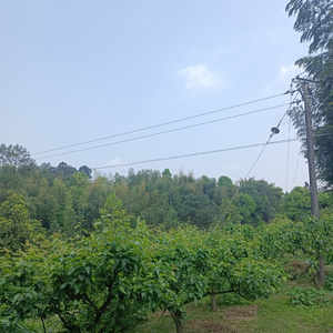 恋人的温柔 (Demo)